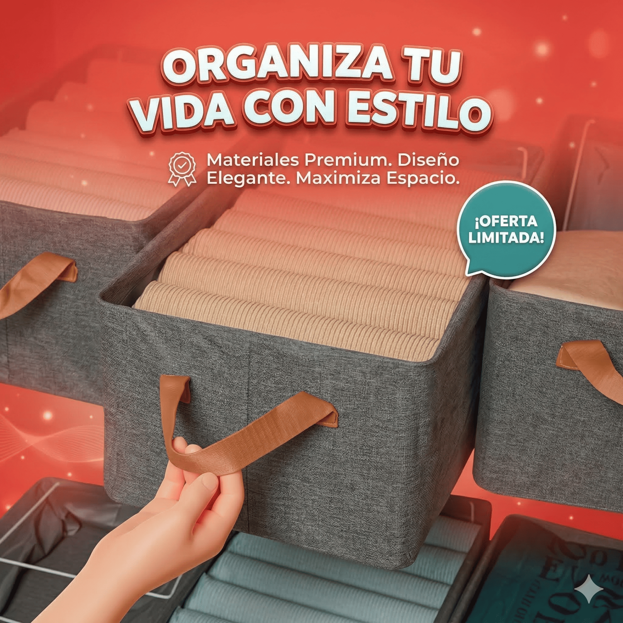 Organizador de Ropa | Gris